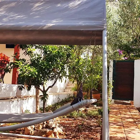 בית נופש Compelx With Detached House And Spacious סטארי גראד