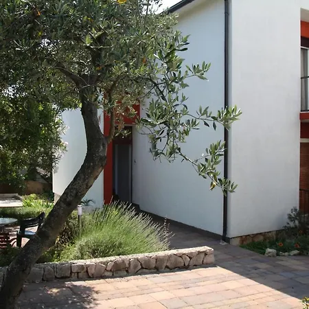 Compelx With Detached House And Spacious