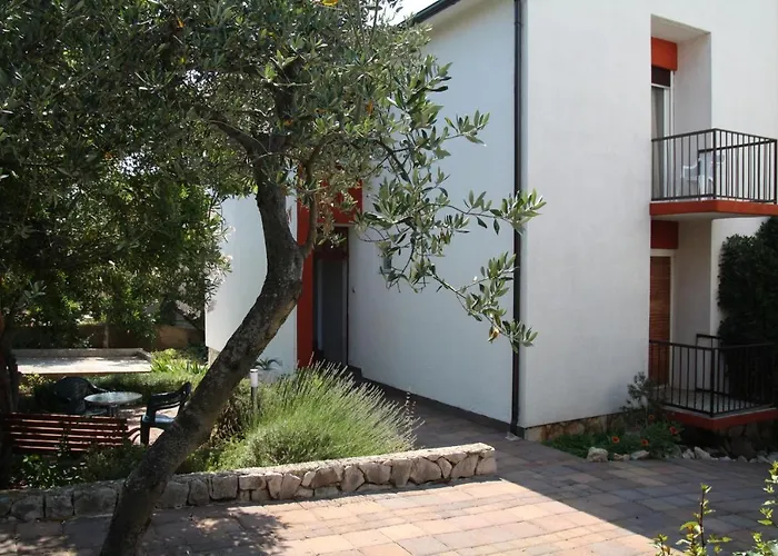 Compelx With Detached House And Spacious